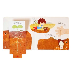 المكتشف الصغير - البذور